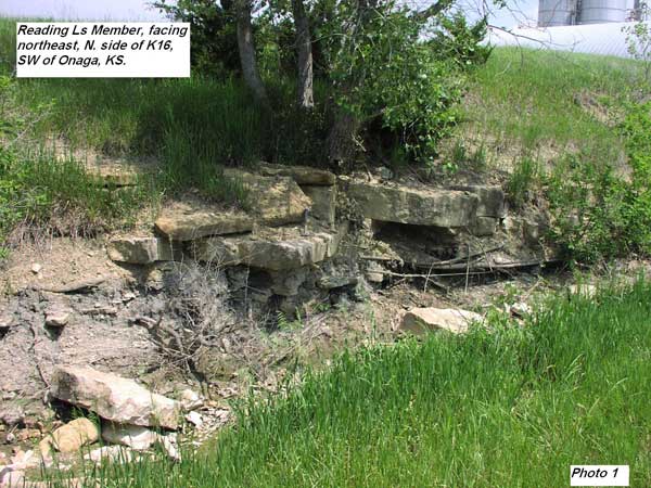 Green grass and shrub surrounding blocky limestone bed; some blocks falling to base; each block about a foot thick.