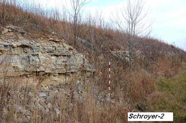 Dormant grasses and small trees on slope with some limestone exposed.