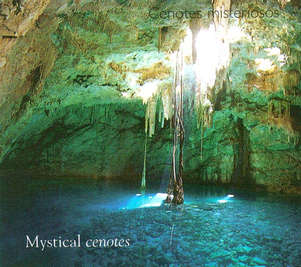 photo of cenotes--natural wells