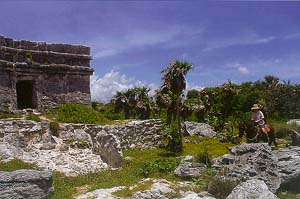 Xcaret