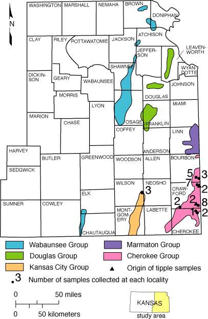 Location of coal samples used in this study and the general distribution of strippable coal resources by geologic group.