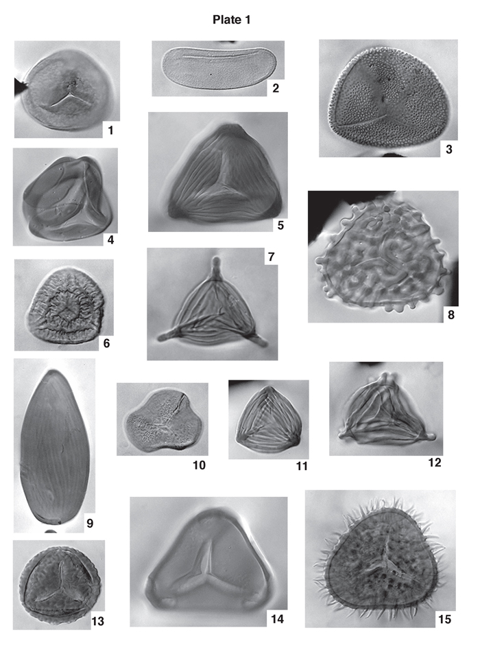 Fifteen black and white photomicrographs.