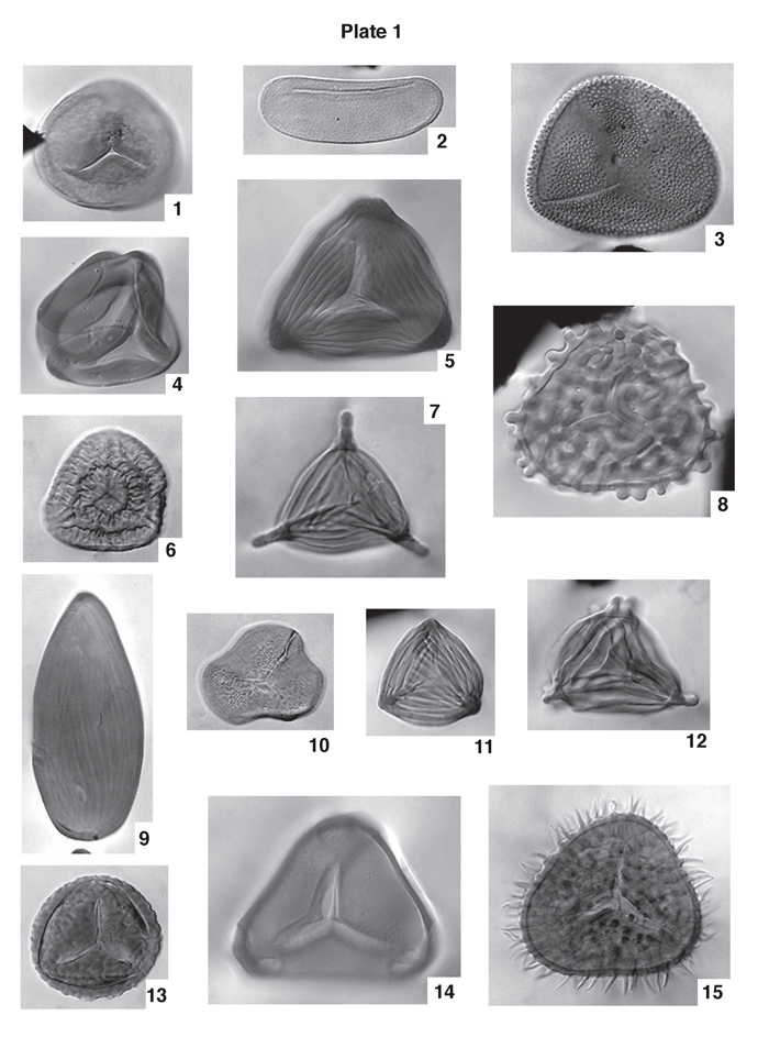 Fifteen black and white photomicrographs.
