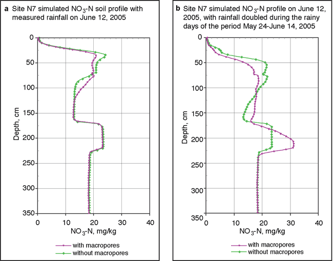 Simulated NO3-N proiles show similar shapes with and without macropores for measured rainfall; for double the rainfall, the profile with macropores shows lower values in upper zones and higher values at deeper zones compared to profile without macropores.