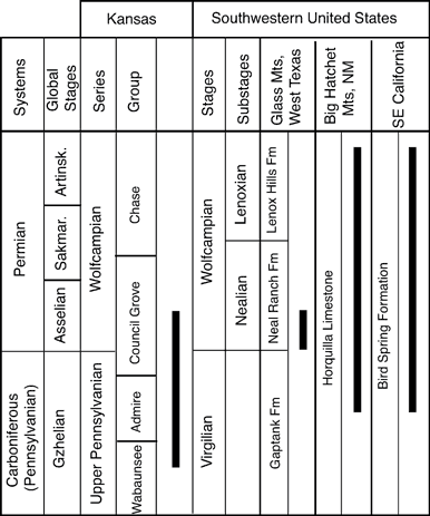 Comparison of fusulinids in Carboniferous and early Permian in Kansas West Texas, New Mexico, and California.