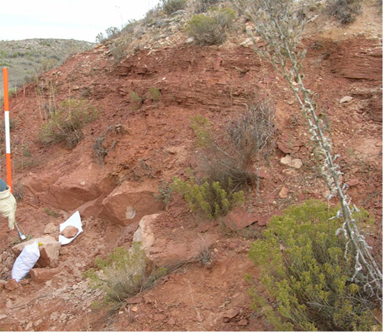 Red beds exposure below Point of Rocks. Scale (left) is in feet.