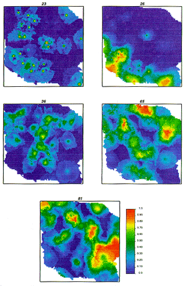 color maps of probability