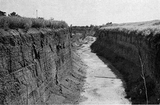 Black and white photo of narrow pit, tens of feet deep and about as wide; extends for quite a ways into distance.