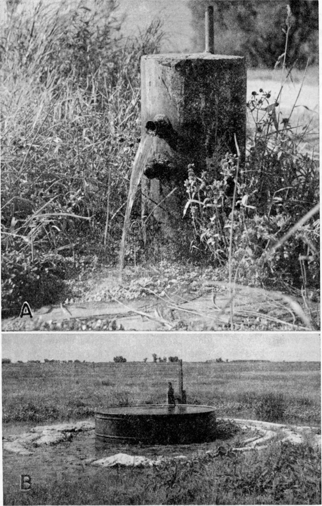 Two black and white photos; flowing wells near Big Marsh in northeastern Stafford County.