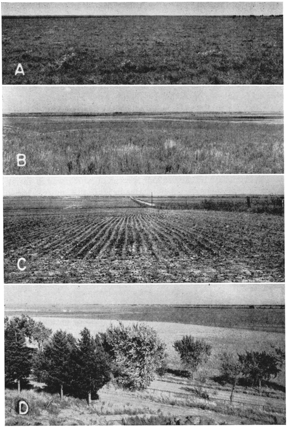 Four black and white photos; two of Cheyenne Bottoms; Walnut Valley terrace; Arkansas Valley.