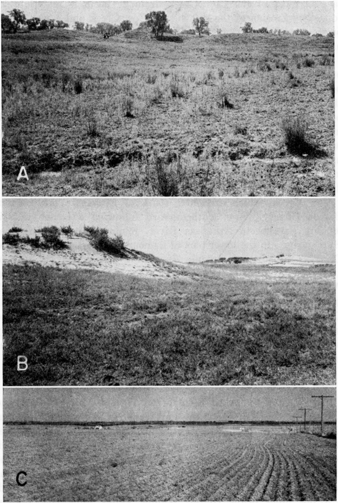 Three black and white photos; Grass-covered sand hills in northeastern Stafford County; Bare sand dunes in the NE sec. 30, T. 21 S., R. 11 W.; Cow Creek drainage basin.