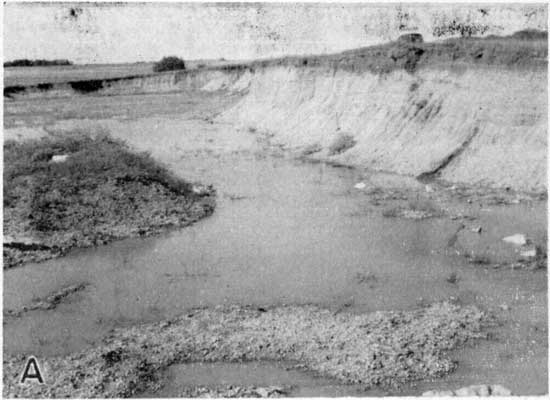 Black and white photo of small quarry; water in bottom of quarry; fall wall is light in color with darker layer at top.