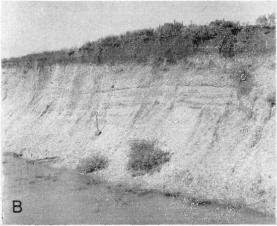 Black and white photo of quarry face; light in color except for top layer; brush at very top