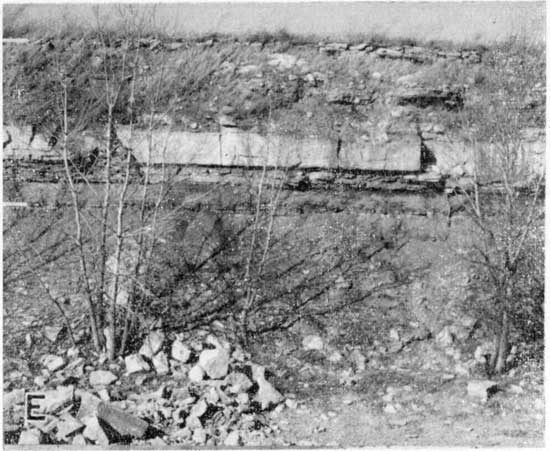 Outcrop of thick, massive limestone, bubble at bottom with bushes and shrubs with no leaves.