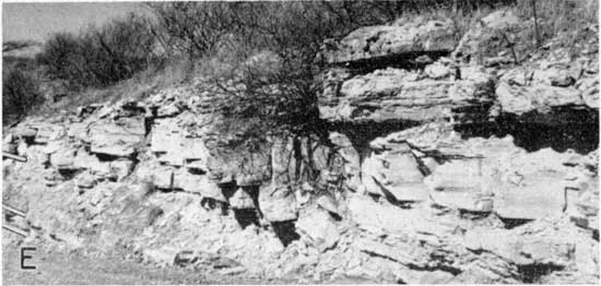 Black and white photo of sharp and blocky limestinbe outcrop.