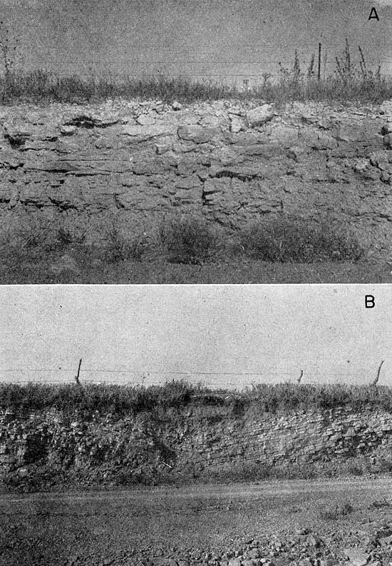 Two black and white photos; top shows vertical outcrop, grades from dark gray to lighter at top, grass and barb-wire fence at top; bottom shows limestone beds along road, in synclinal form, very obvious bedding.