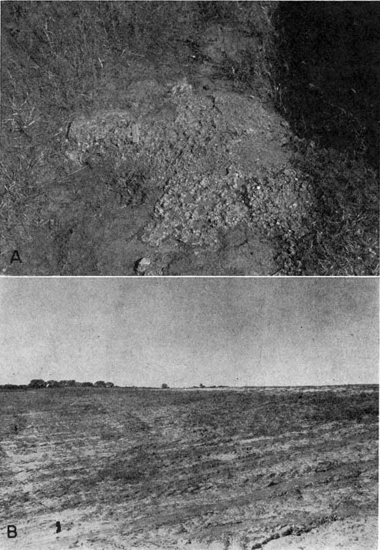 Two black and white photos; top shows soil and conglomerate at outcrop; bottom shows low scarp at far side of tilled field.