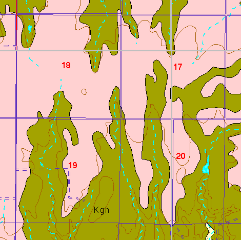 small part of Ellis Co. geologic map