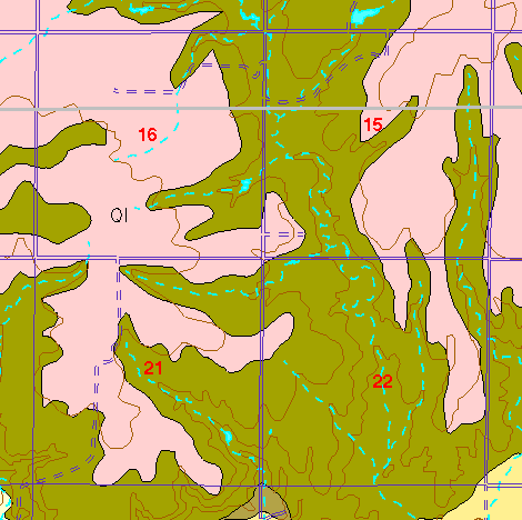 small part of Ellis Co. geologic map