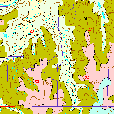 small part of Ellis Co. geologic map