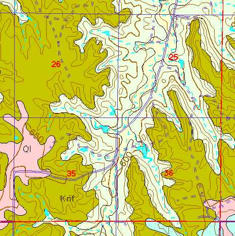 small part of Ellis Co. geologic map