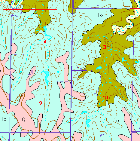 small part of Ellis Co. geologic map