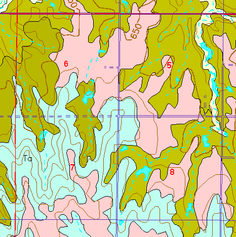 small part of Ellis Co. geologic map