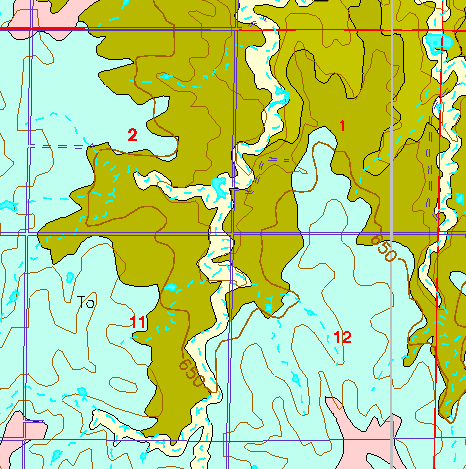 small part of Ellis Co. geologic map