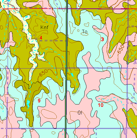 small part of Ellis Co. geologic map