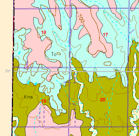 small part of Ellis Co. geologic map