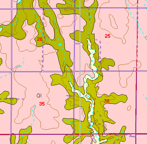 small part of Ellis Co. geologic map