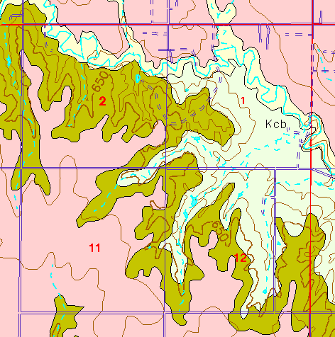 small part of Ellis Co. geologic map