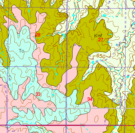 small part of Ellis Co. geologic map