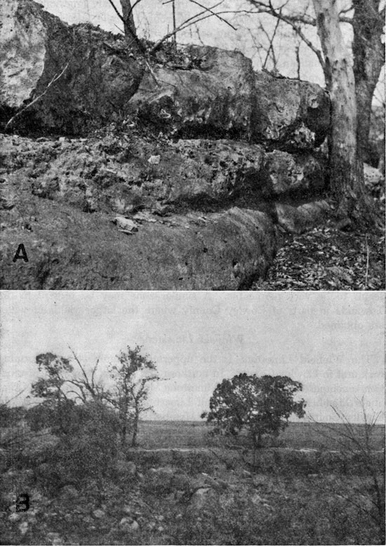 Two black and white photos; top is of pitted, rounded limstone outcrop; bottom is of longer view of Cresswell Ls Mbr.