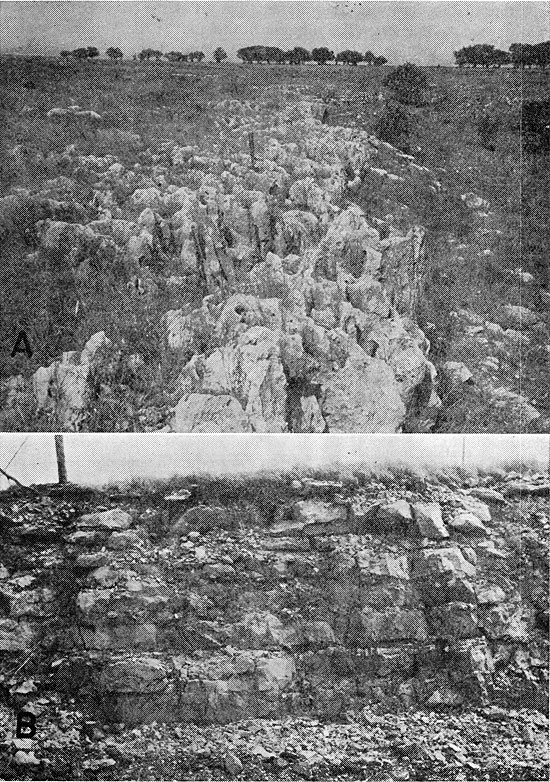 Two black and white photos; top is of deeply pitted ropugh surface of Threemile Ls in field; second is of blocky, resistant outcrop of Florence Ls.