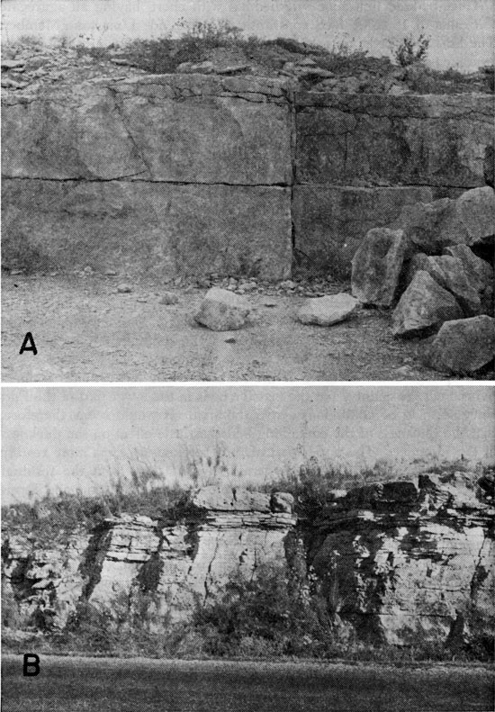 Two black and white photos; top is of very smooth, square block of limestone in outcrop; bottom is of whole roadcut of Fort Riley Ls Mbr.