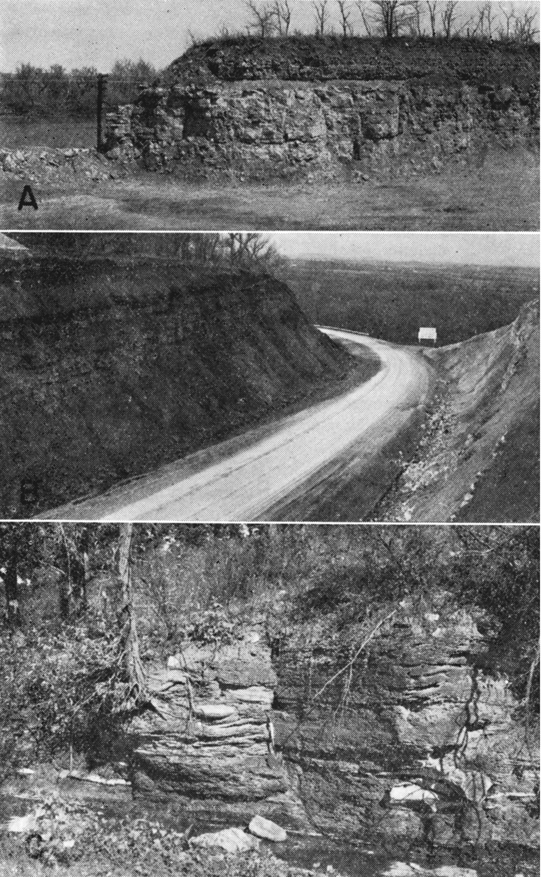 Three black and white photos; upper is of Plattsmouth Limestone, Heumader Shale, and Kereford Limestone members of Oread Limestone; middle is of Lower and middle Oread Limestone showing Snyderville Shale member and Toronto Limestone member; lower is thick black fissile Heebner Shale member.