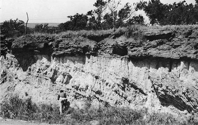 Black and white photo of roadcut; light-colored beds dipping from left to right are covered by darker material in an unconformity.