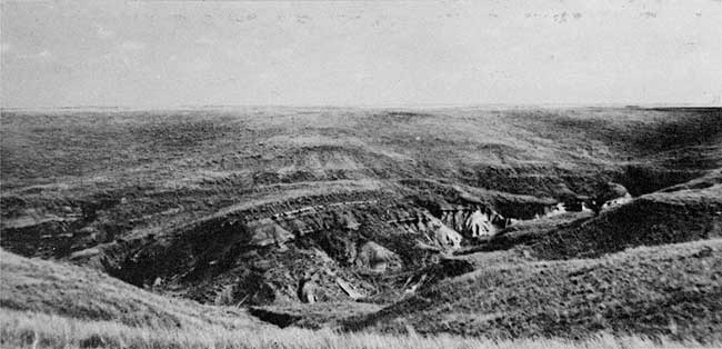 Black and white photo of gentle hills; arroyo exposes beds curved in monocline.