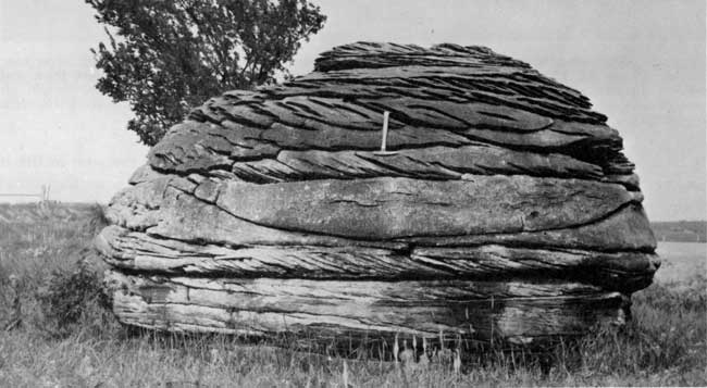 Black and white photo of very large oval concreation; over 6-feet high and wider than it is high.