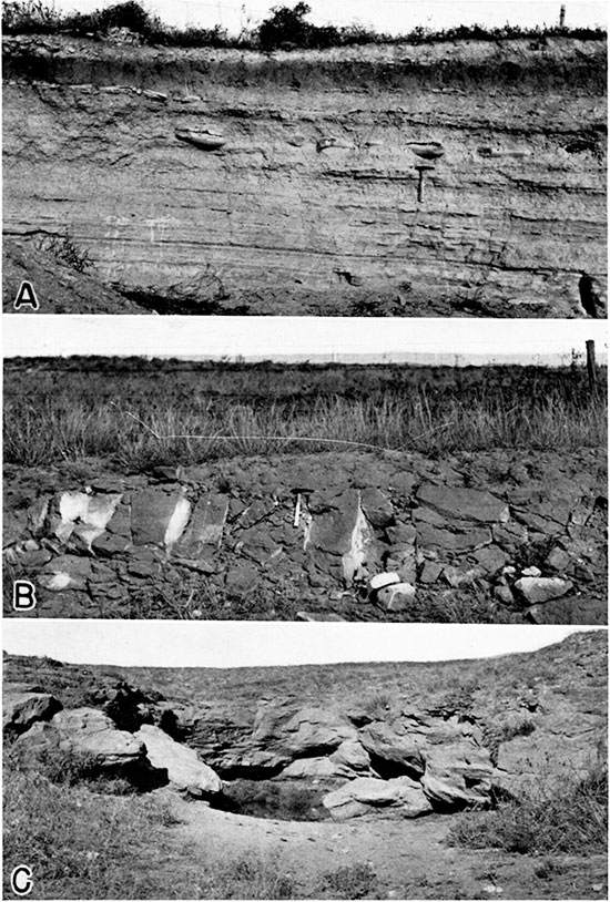 Three black and white photos; top is of Jetmore chalk member of the Greenhorn limestone; middle is of the Dakota formation along north side of Highway 154 about 2 1/2 miles northwest of Ford; lower is of Dakota formation exposed in the Black Pool.