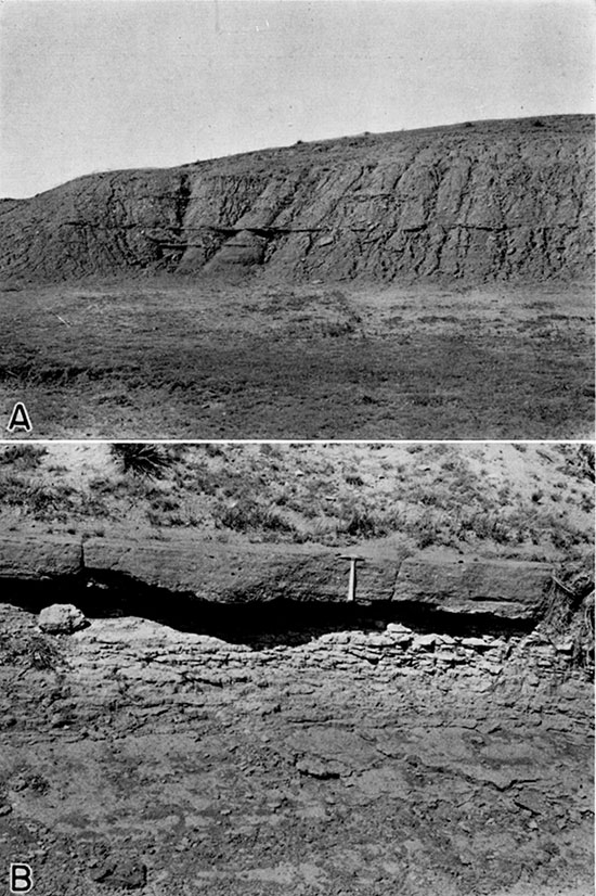 Two black and white photos; top is of Graneros shale; lower is of upper part of Dakota formation.