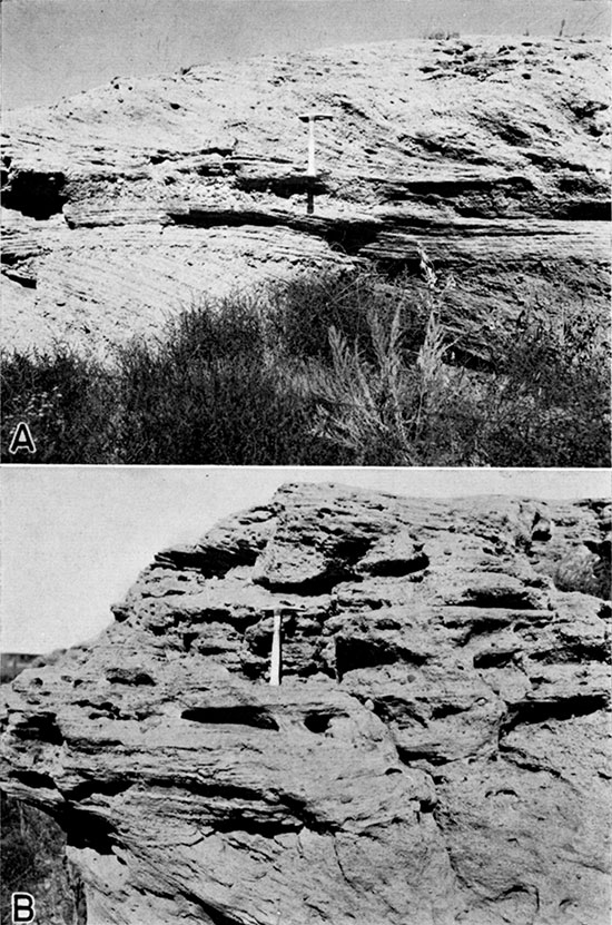 Two black and white photos; top is of mortar bed of the Ogallala formation; lower is of closer view of the same exposure showing the pitted character of the weathered surface.