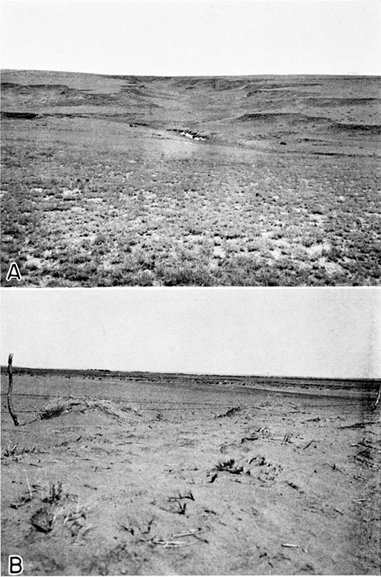 Two black and white photos; top is of typical view of gulley erosion in the Kingsdown silt; lower is of drifting sand in the sand hills bordering the south side of the Arkansas valley.