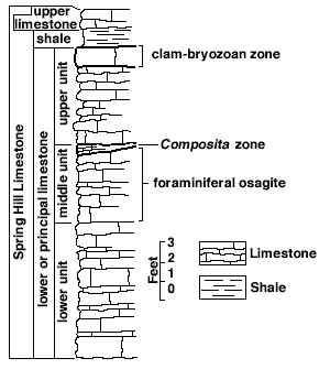 Composita zone in upper middle, clam-bryozoan zone in upper unit below shale