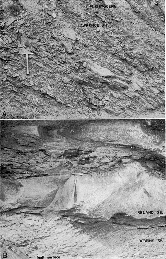 Black and white photos of sandstone beds in upper part of Lawrence Shale and stratification in Robbins Shale Member of Stranger Formation and coal fragments in Ireland Sandstone Member of Lawrence Shale.