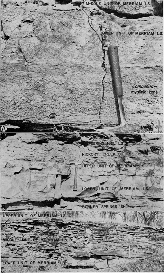 Three black and white photos of outcrops of the Plattsburg Limestone.