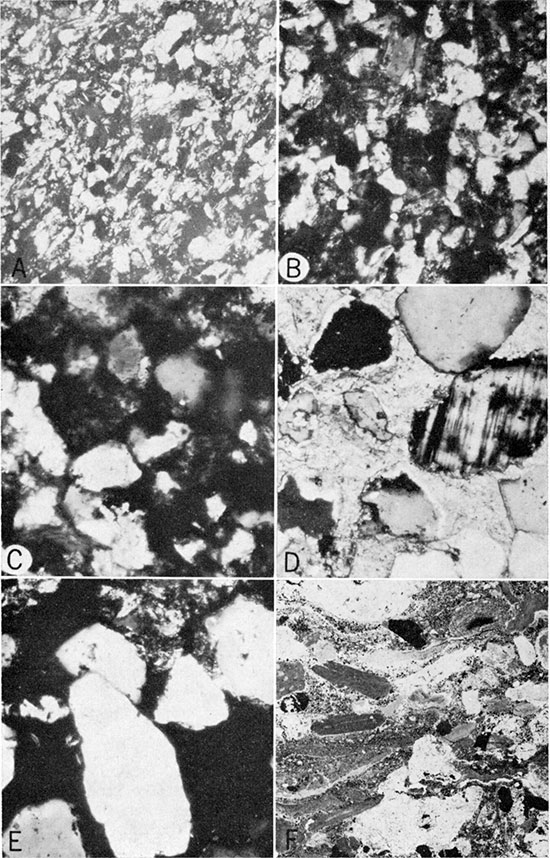 Black and white photomicrographs of thin sections of the Tonganoxie Sandstone Member of the Stranger Formation.