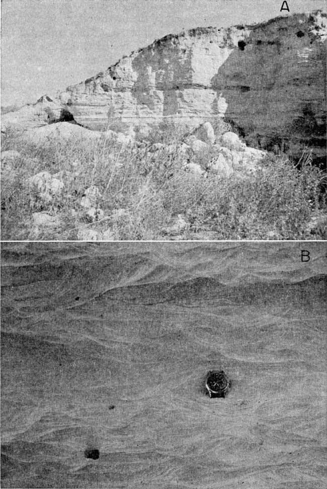 Two black and white photos; top is thick, white ash bed, steep cliff that is easily eroding; closeup of ash bed, watch for scale, bedding is wavy.