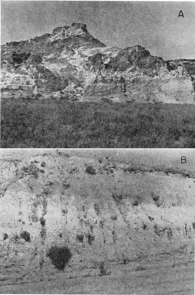 Two black and white photos; top is large, rugged outcrop of Ogallala, whitish in color; bottom is roadcut of silts, gray and white, vertical erosion channels.